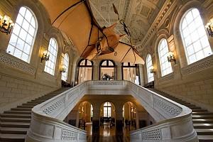 Collection du Musée des arts et métiers. Escalier d'honneur du Musée et Éole, «Avion» n°3 de Clément Ader, 1897. Don de Clément  